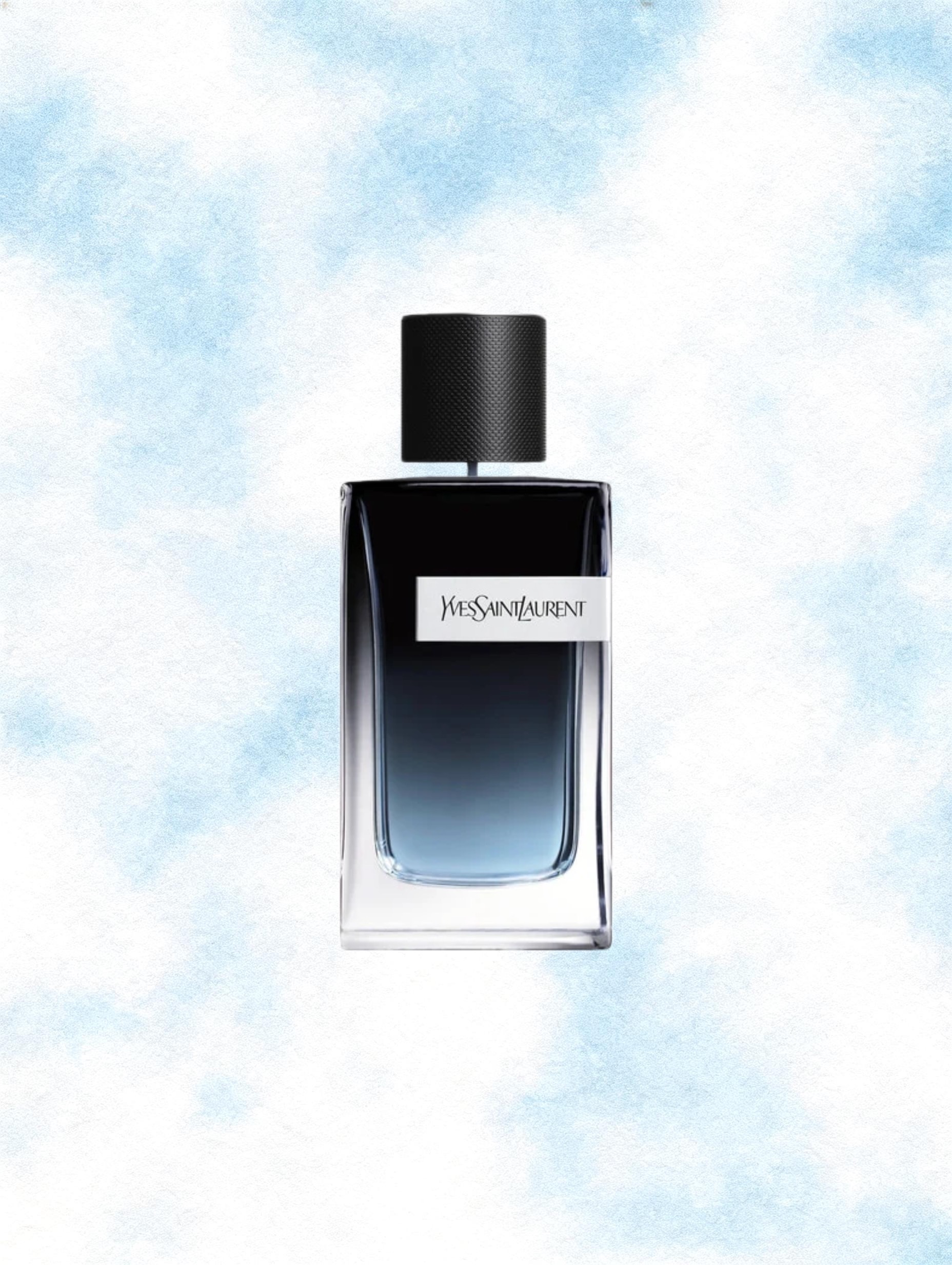 YSL Y 